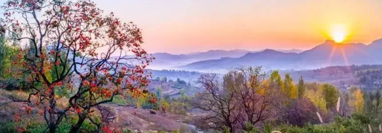 无锡太湖今夕延年护理院,无锡养老院,太湖新城养老院,无锡敬老院,无锡护理院,无锡康复院